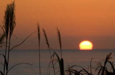 秋を感じる夕日